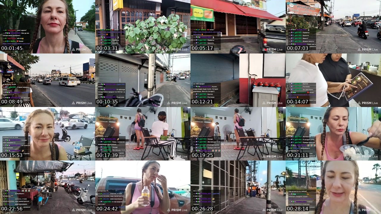 Contact-sheet preview of rodinafromthai's Twitch recording