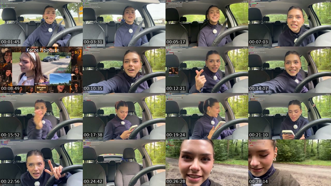 Contact-sheet preview of schiddii's Twitch recording