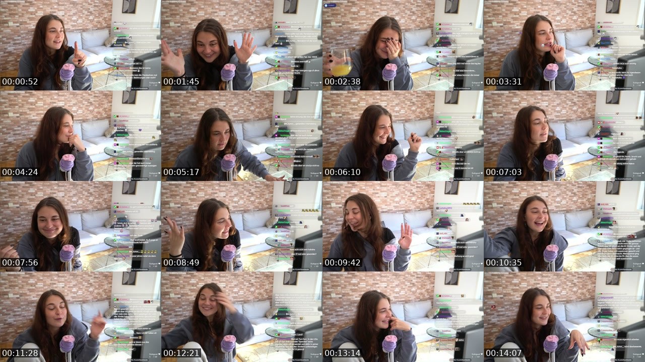 Contact-sheet preview of leoshizzzle's Twitch recording