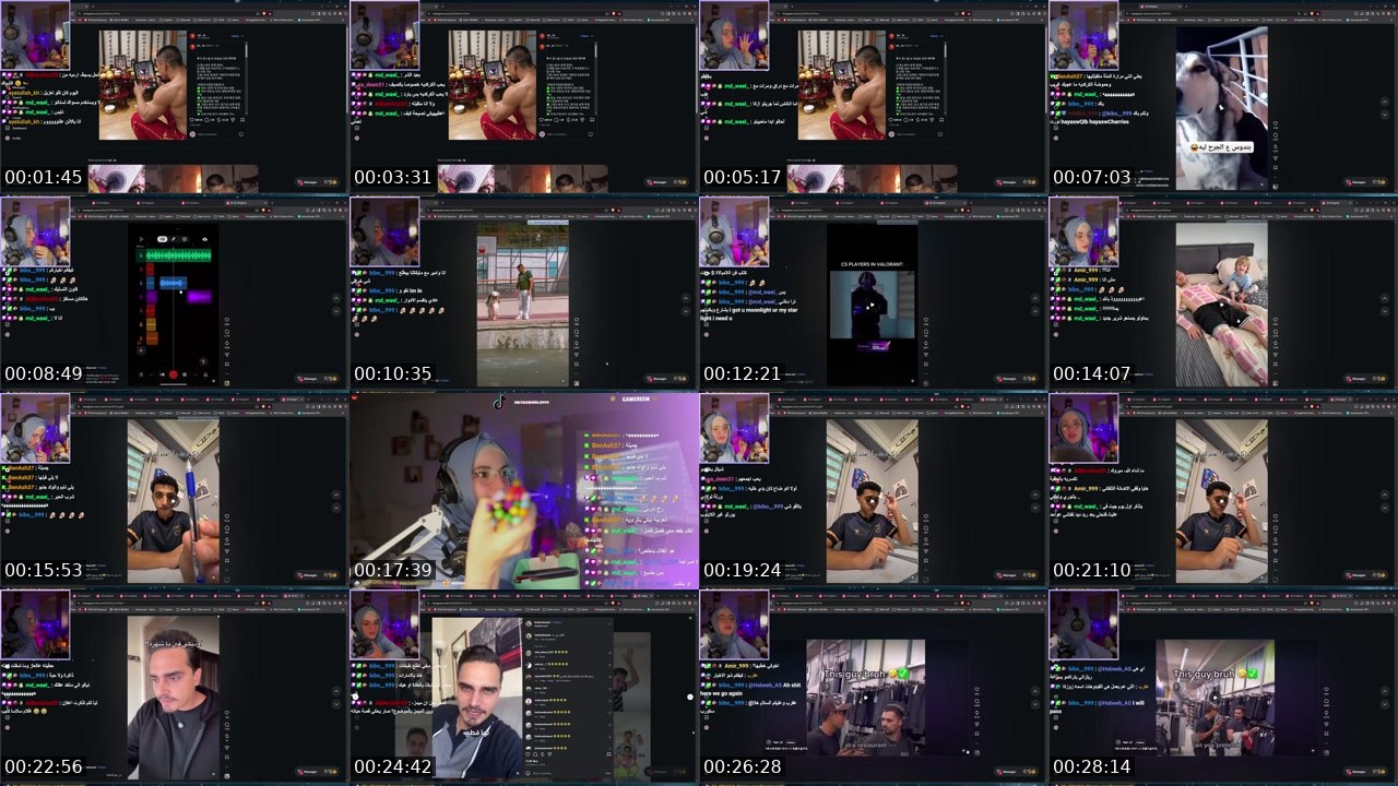 Contact-sheet preview of هايا's Twitch recording
