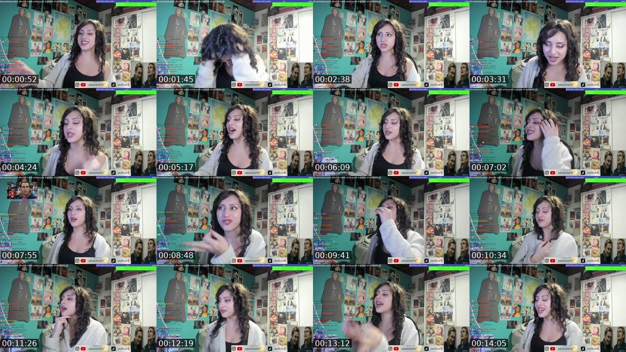 Contact-sheet preview of anonymawtf's Twitch recording