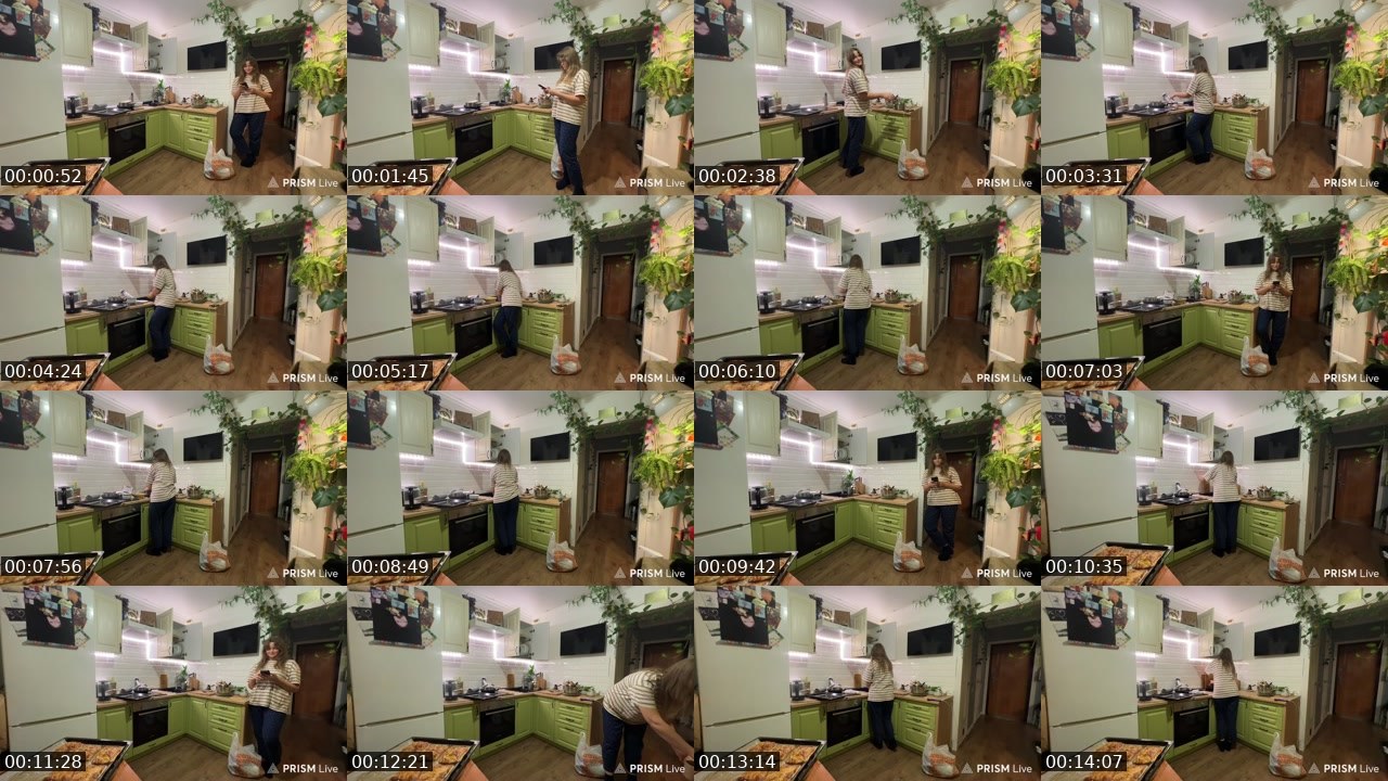 Contact-sheet preview of kris_grizliks's Twitch recording