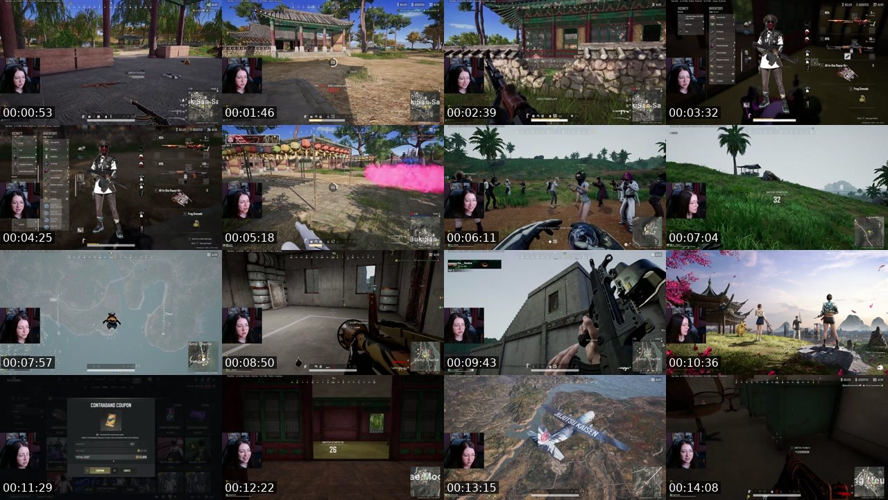 Contact-sheet preview of DresdenLowe's Twitch recording