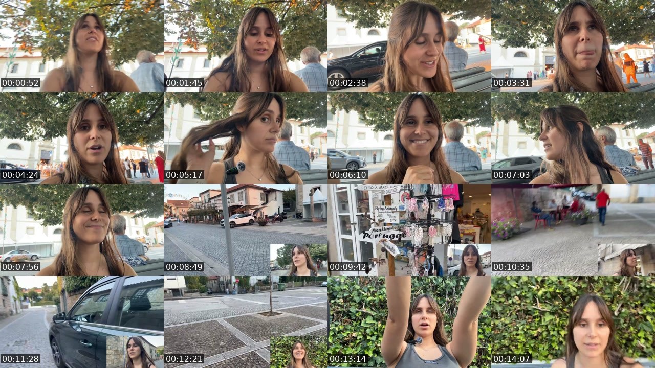 Contact-sheet preview of princess_ines_'s Twitch recording
