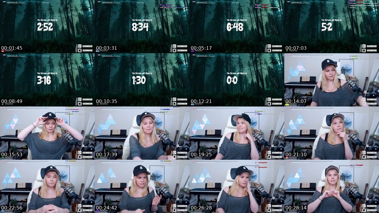 Contact-sheet preview of Swebliss's Twitch recording