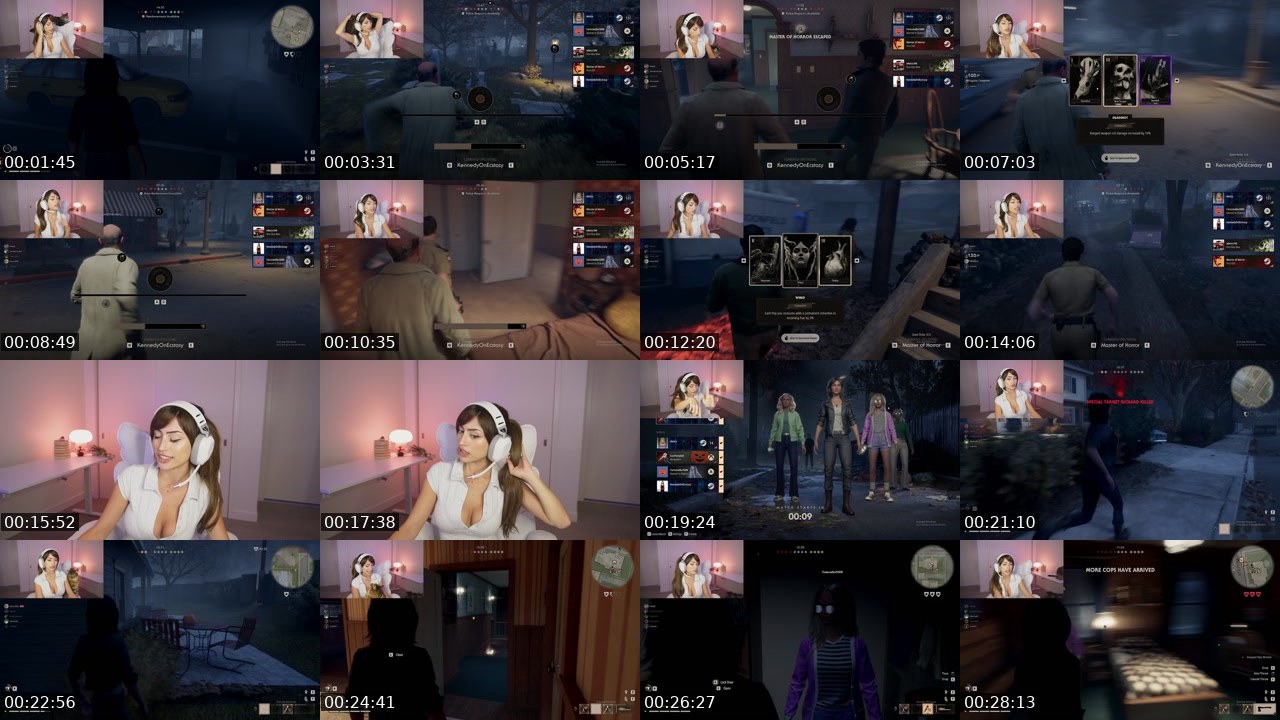 Contact-sheet preview of ehcico's Twitch recording