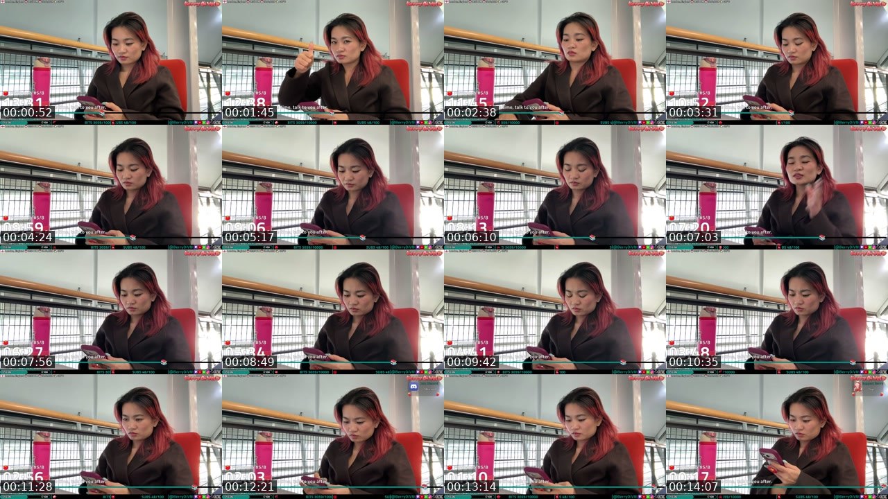 Contact-sheet preview of BerryOi's Twitch recording