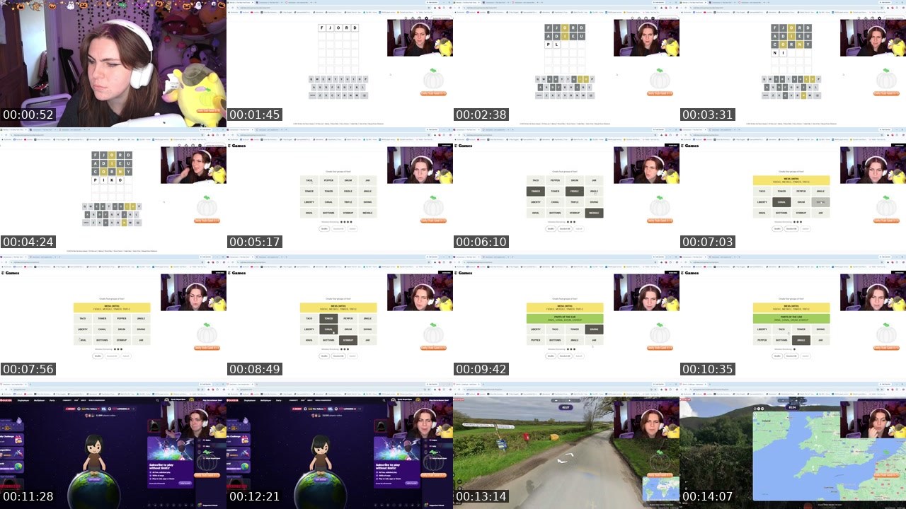 Contact-sheet preview of ilovecapybarasssss's Twitch recording