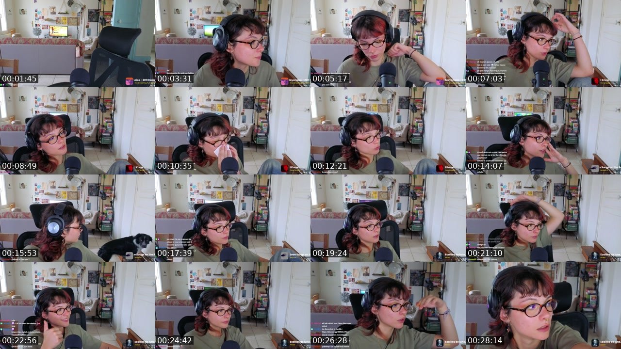 Contact-sheet preview of leihley's Twitch recording