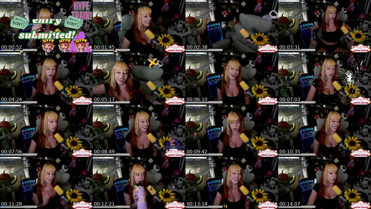 Contact-sheet preview of MissLeemaLee's Twitch recording