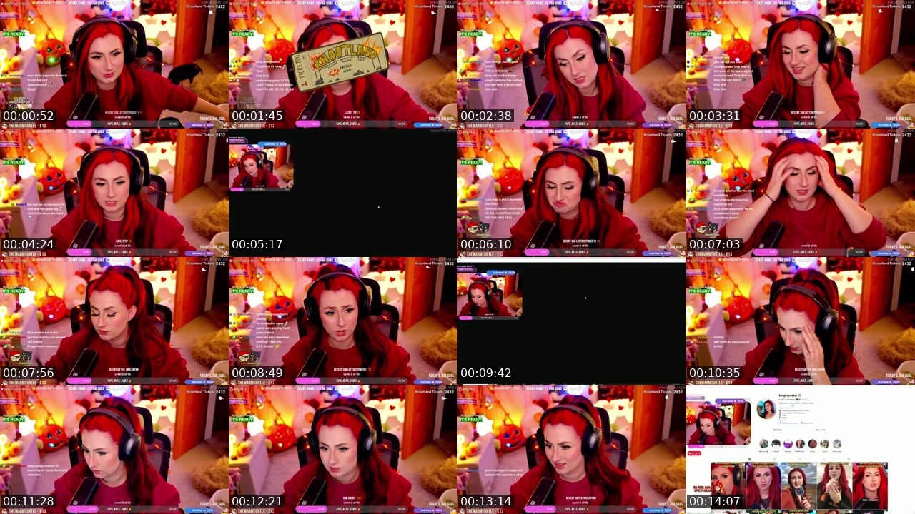 Contact-sheet preview of knightenator's Twitch recording