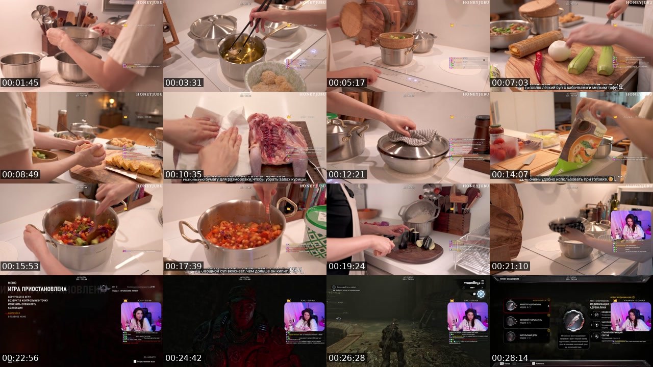 Contact-sheet preview of Leona_Kiki's Twitch recording