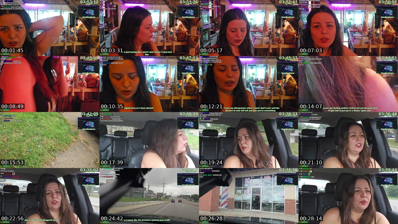 Contact-sheet preview of Kaceytron's Twitch recording