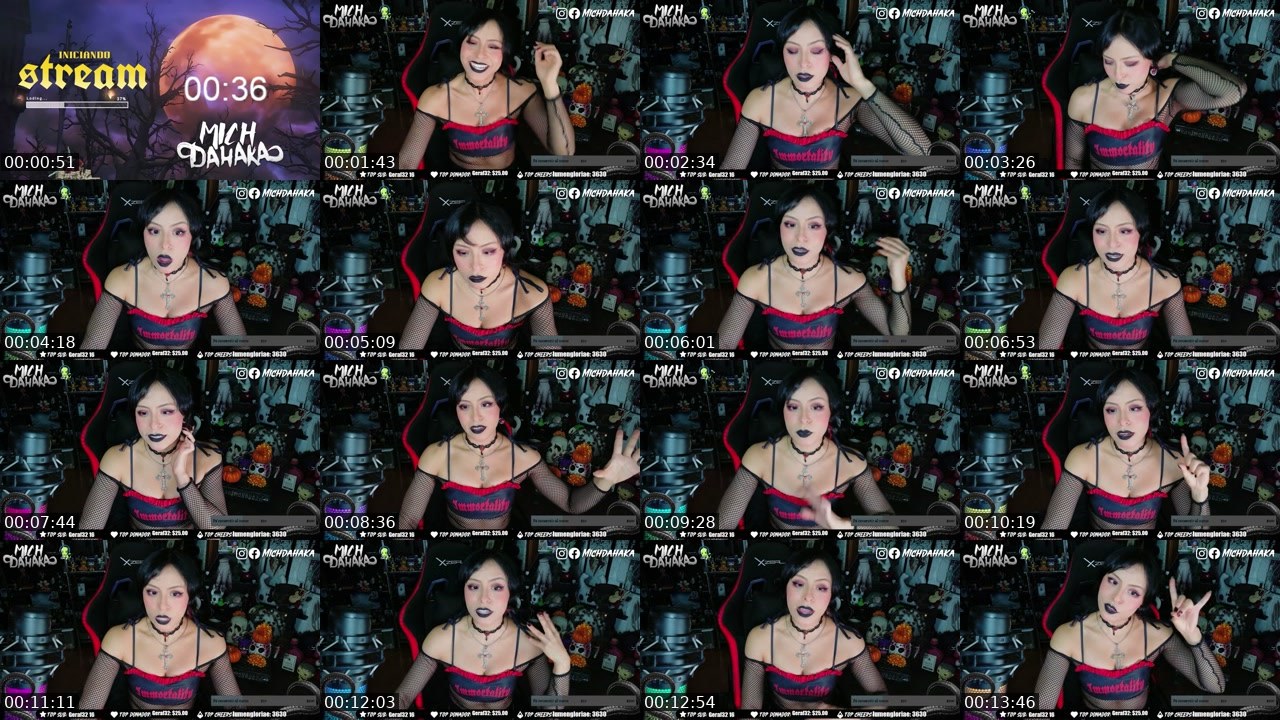 Contact-sheet preview of Michdahaka's Twitch recording