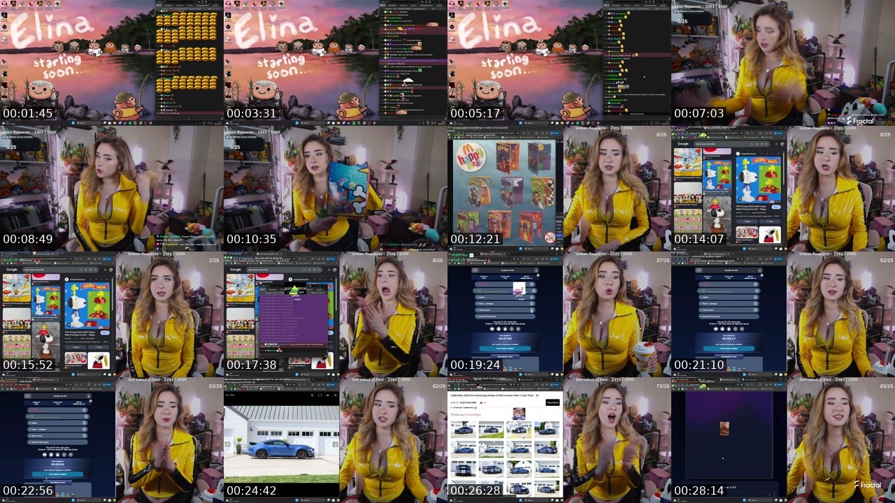 Contact-sheet preview of Elina's Twitch recording