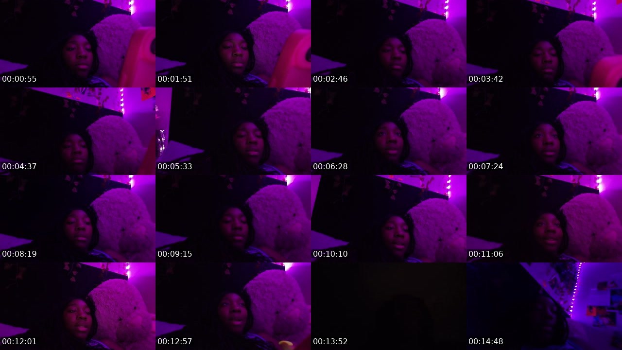 Contact-sheet preview of l3auna's Twitch recording