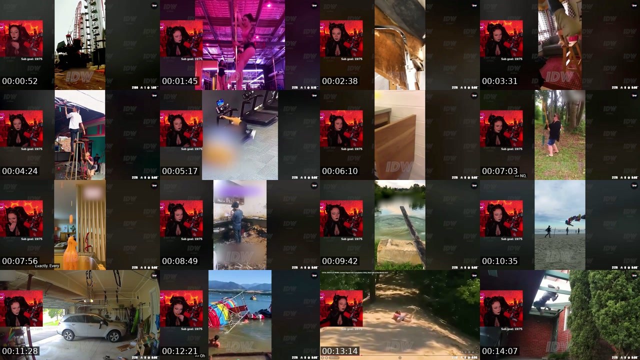 Contact-sheet preview of MissPurple's Twitch recording