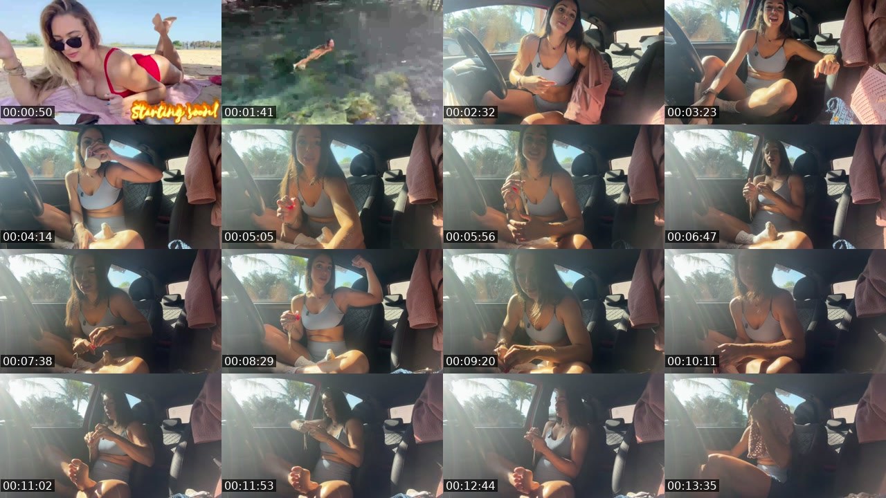 Contact-sheet preview of Evah_hhhh's Twitch recording