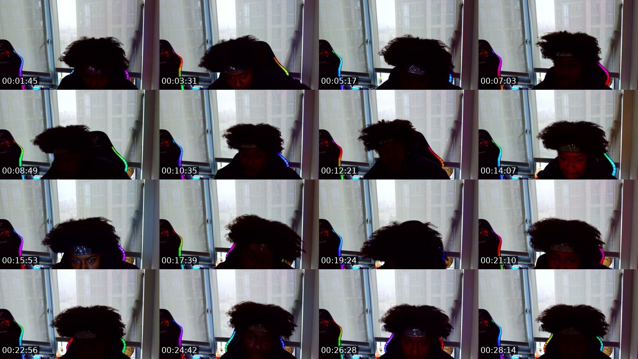 Contact-sheet preview of Nigaut0's Twitch recording