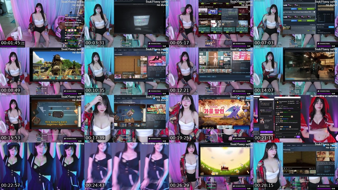 Contact-sheet preview of 세계__'s Twitch recording