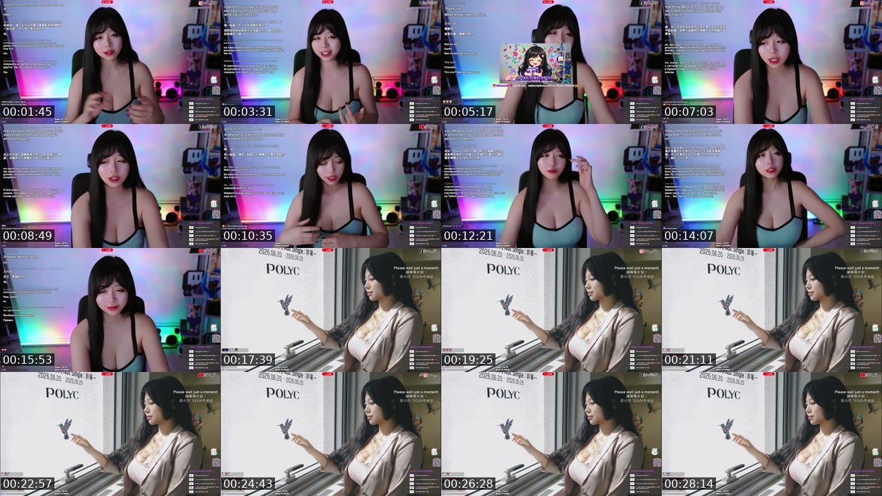 Contact-sheet preview of 해까닥여울이's Twitch recording