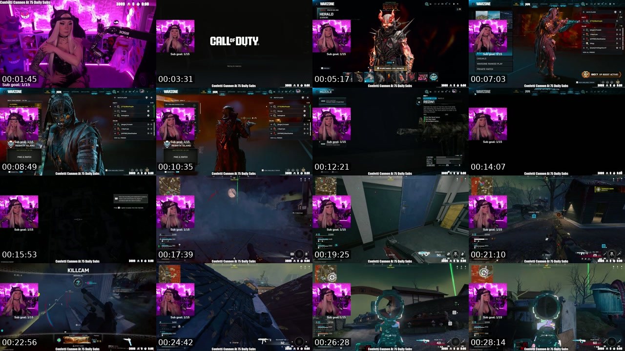 Contact-sheet preview of MissPurple's Twitch recording