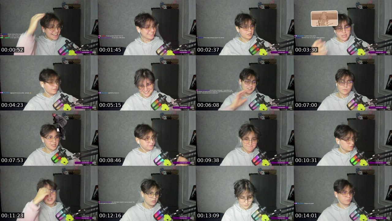 Contact-sheet preview of LiNN24's Twitch recording