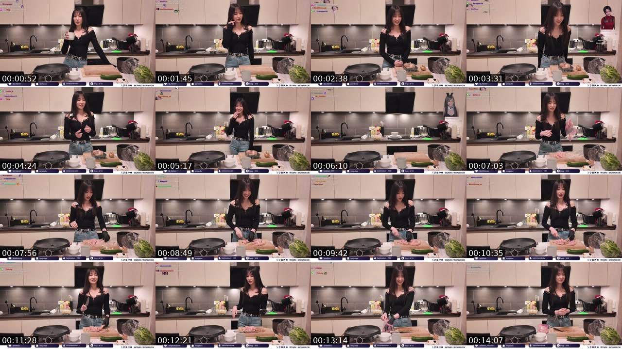 Contact-sheet preview of Wonni's Twitch recording
