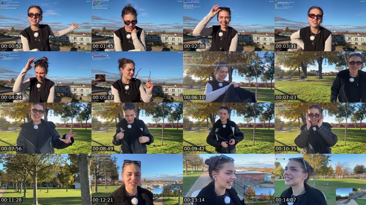 Contact-sheet preview of schiddii's Twitch recording