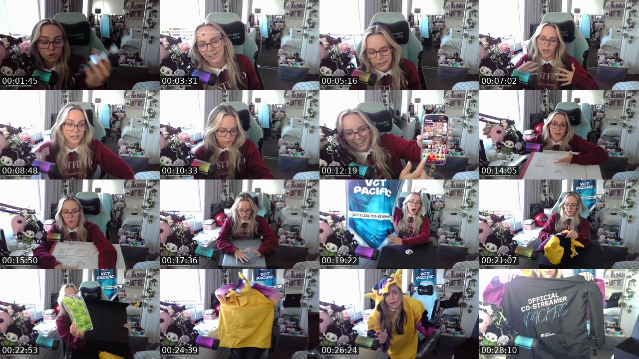 Contact-sheet preview of TheSmallFry_'s Twitch recording