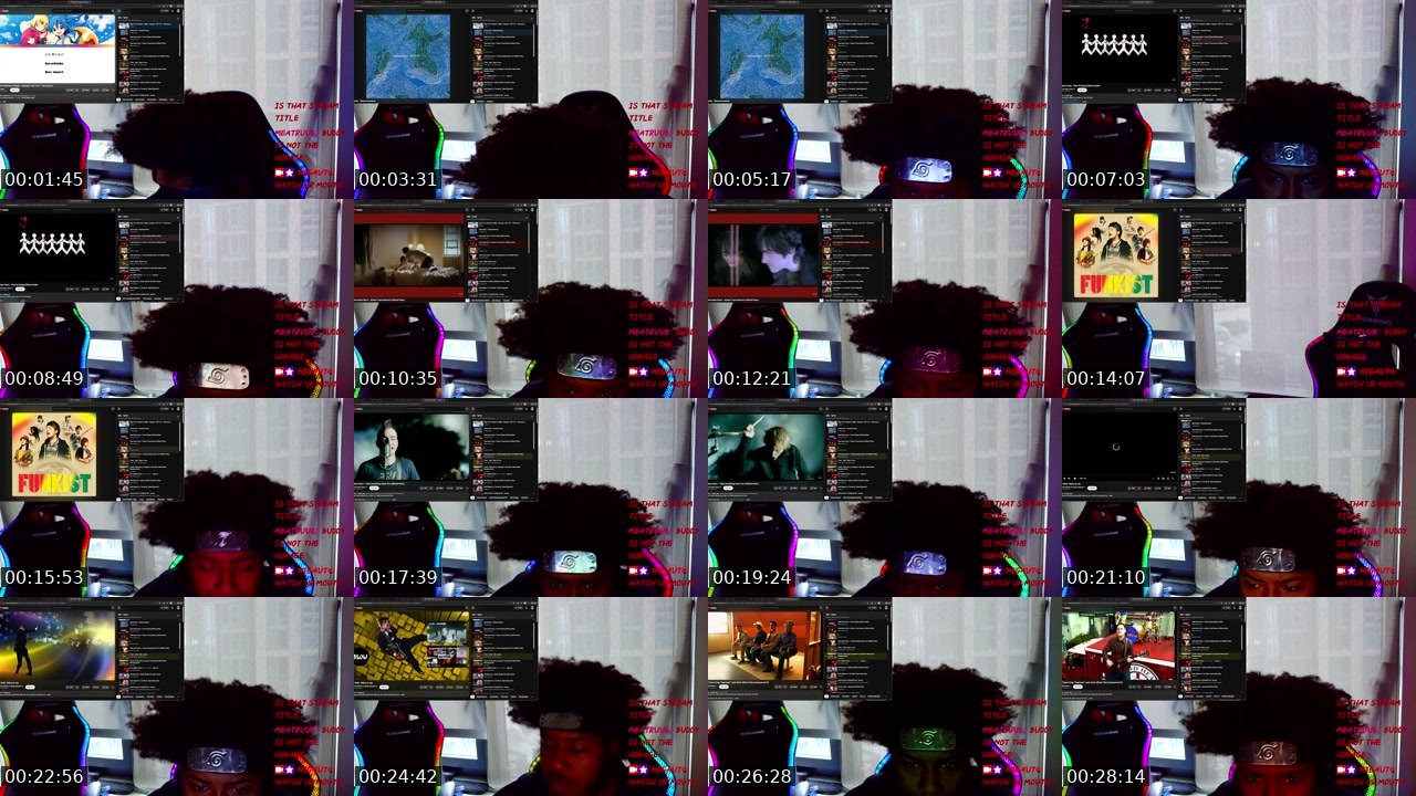 Contact-sheet preview of Nigaut0's Twitch recording