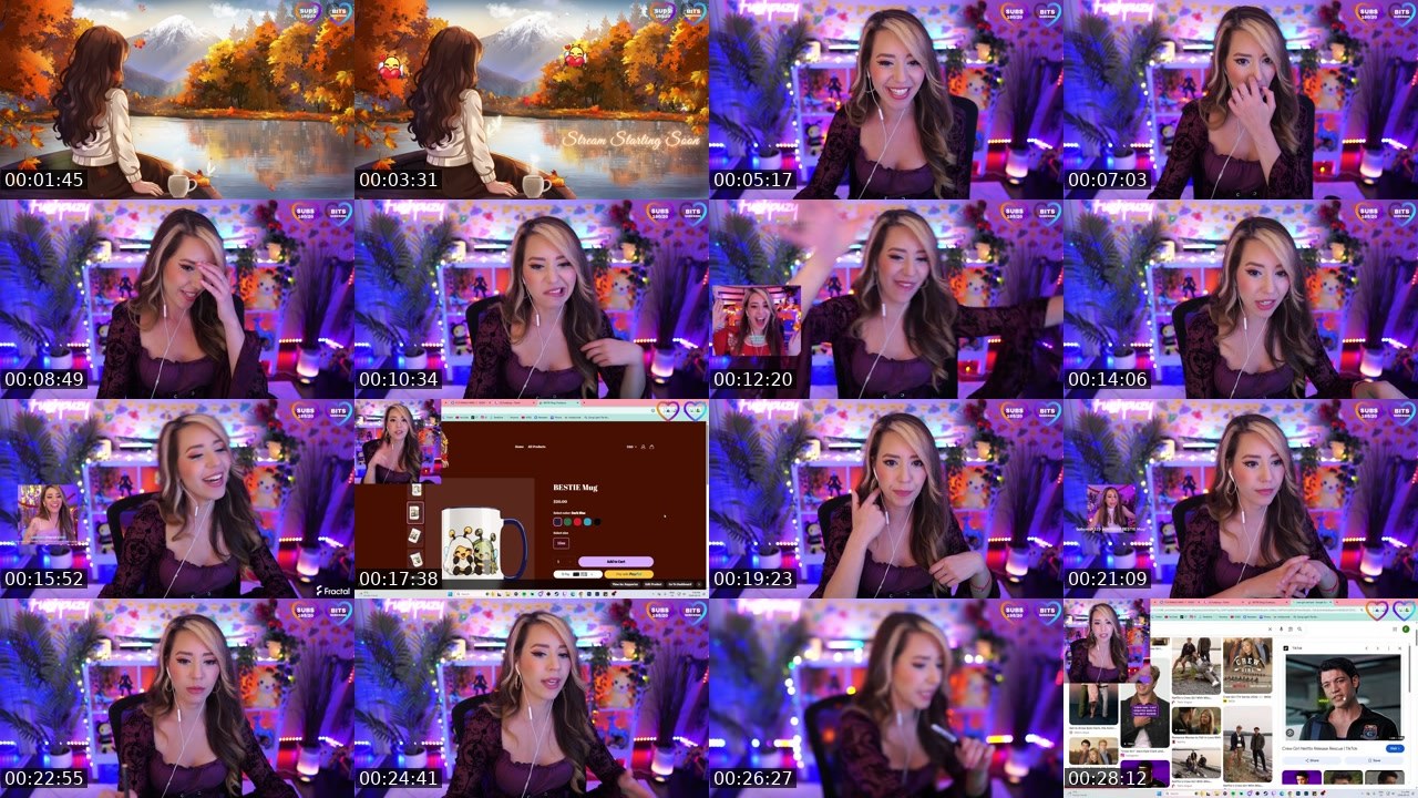 Contact-sheet preview of Fuzhpuzy's Twitch recording