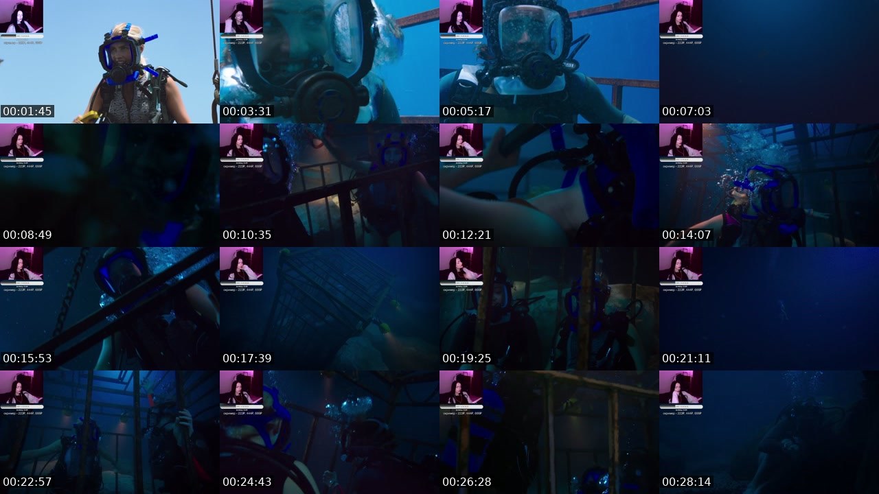 Contact-sheet preview of trevozhnostb's Twitch recording