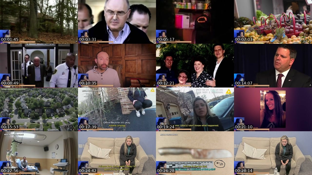 Contact-sheet preview of AshNSpace's Twitch recording