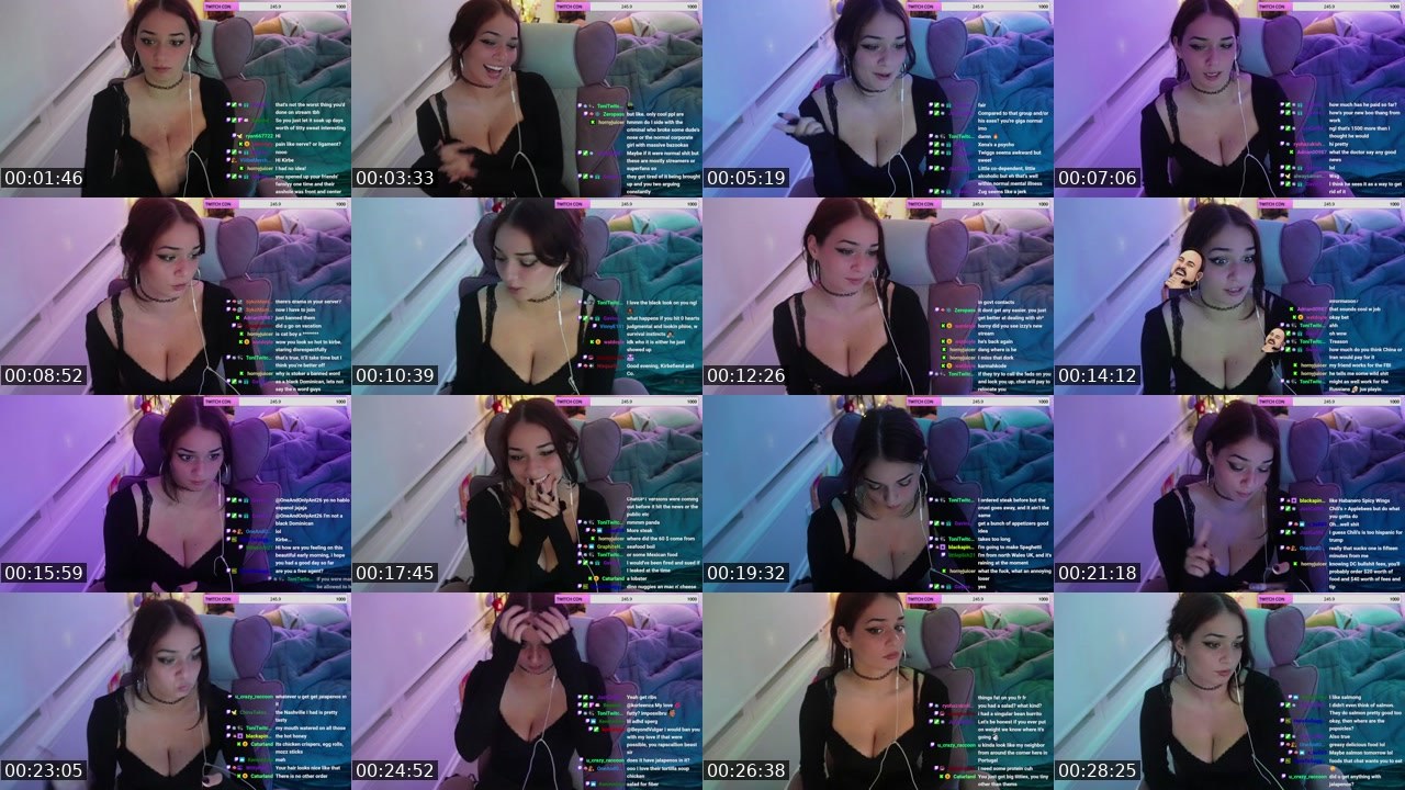 Contact-sheet preview of Kirbe's Twitch recording