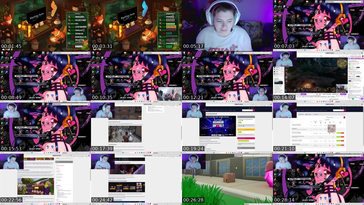 Contact-sheet preview of inariie_'s Twitch recording