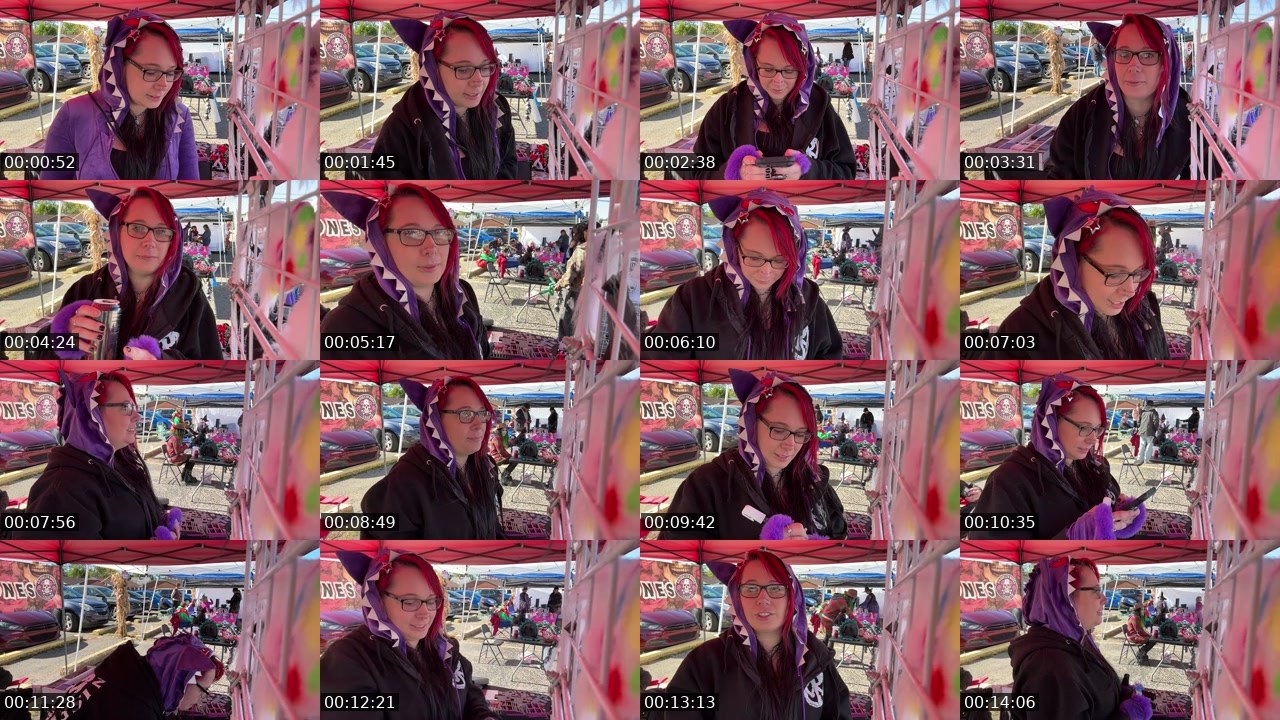 Contact-sheet preview of BrooklynBones's Twitch recording