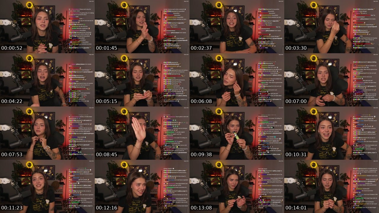 Contact-sheet preview of schiddii's Twitch recording