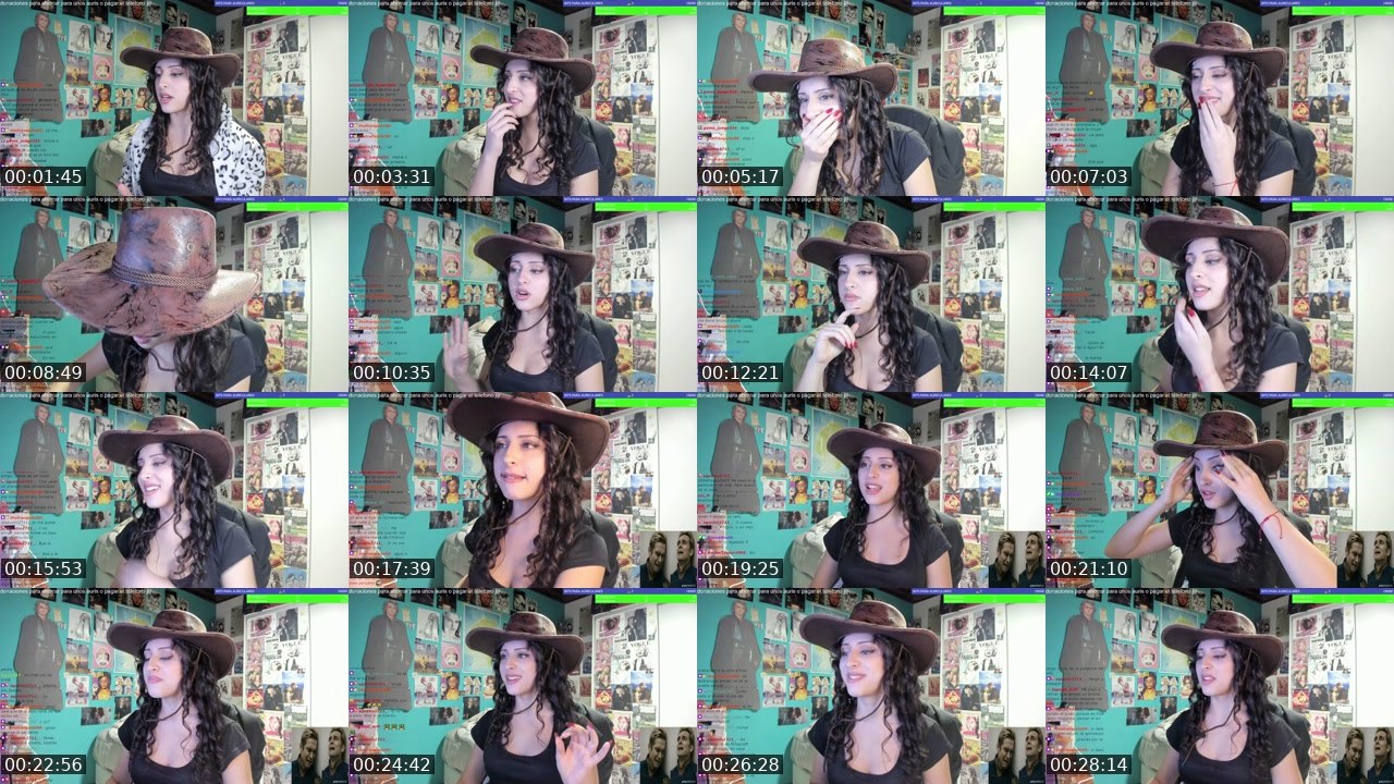 Contact-sheet preview of anonymawtf's Twitch recording