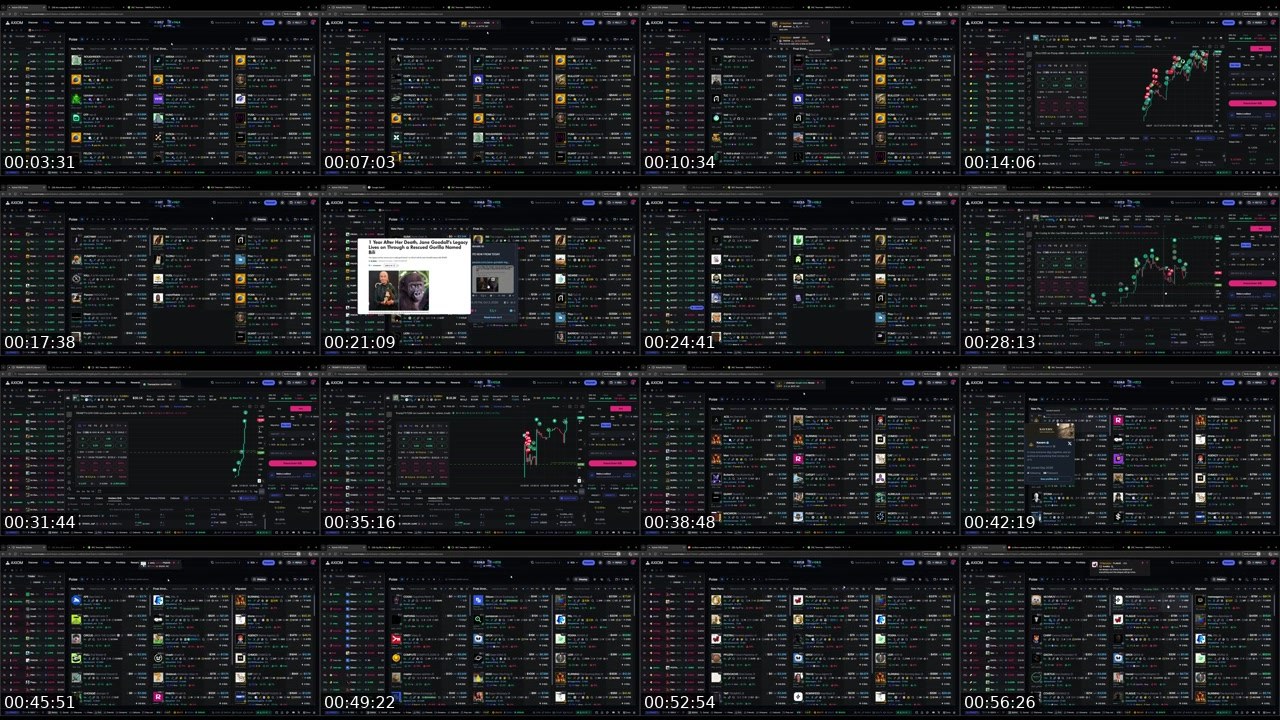 Contact-sheet preview of decu's Twitch recording