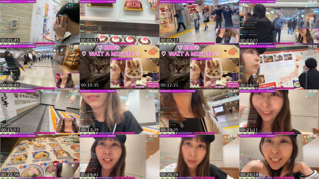 Contact-sheet preview of HoshiRica's Twitch recording