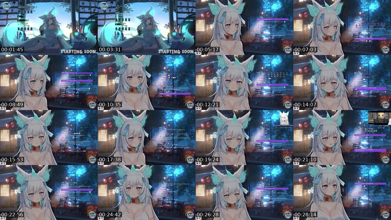 Contact-sheet preview of vixi's Twitch recording