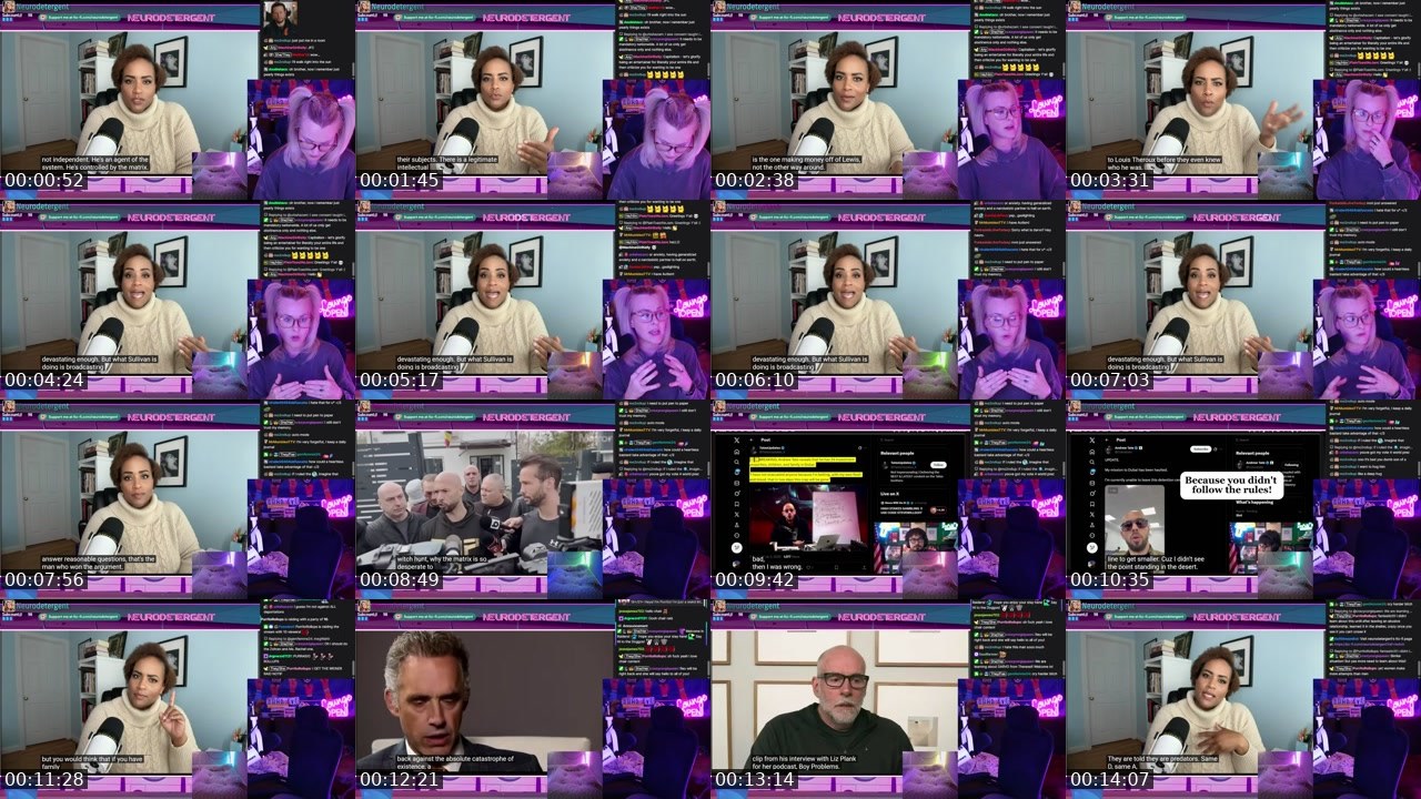 Contact-sheet preview of neurodetergent's Twitch recording