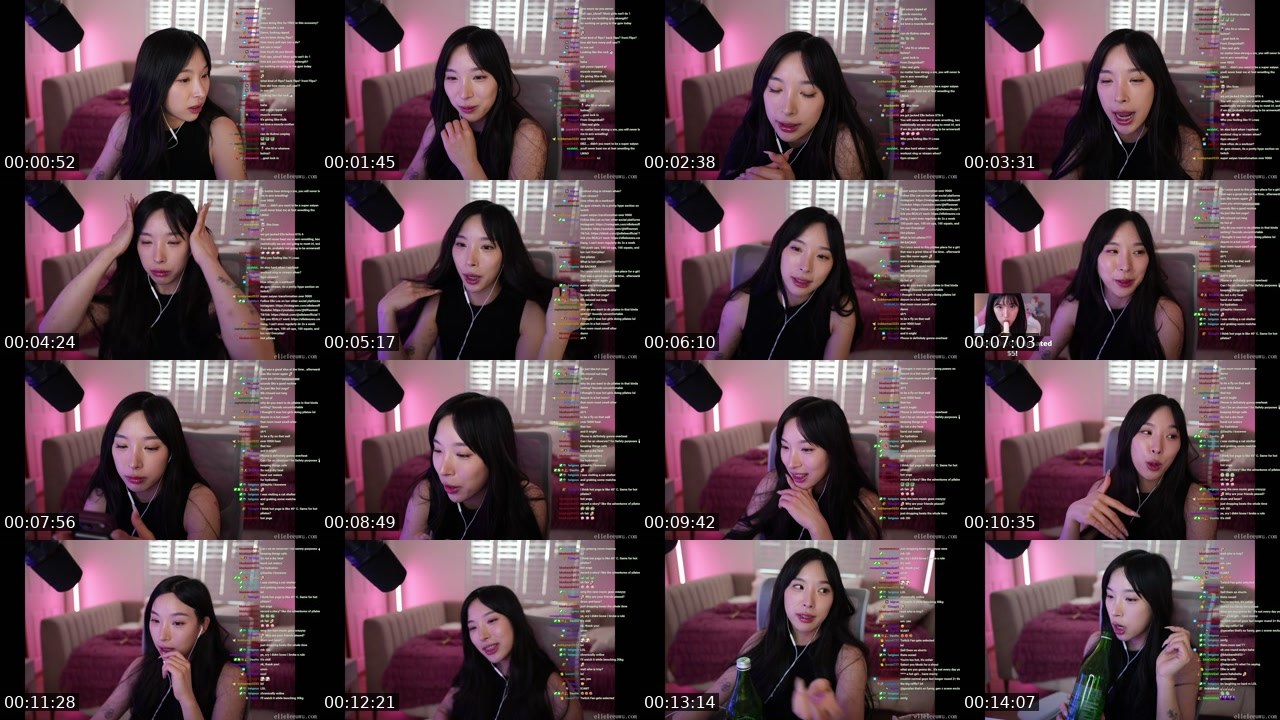 Contact-sheet preview of xElleLee's Twitch recording
