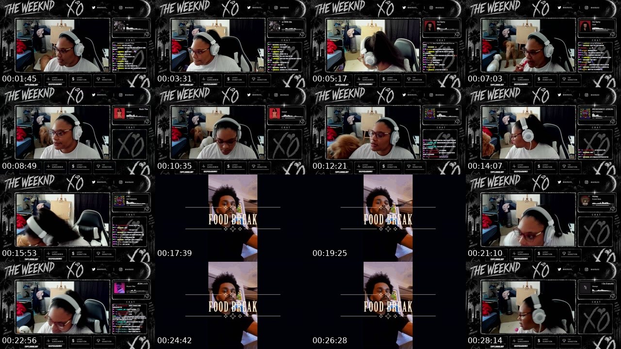 Contact-sheet preview of Akirajanelle's Twitch recording