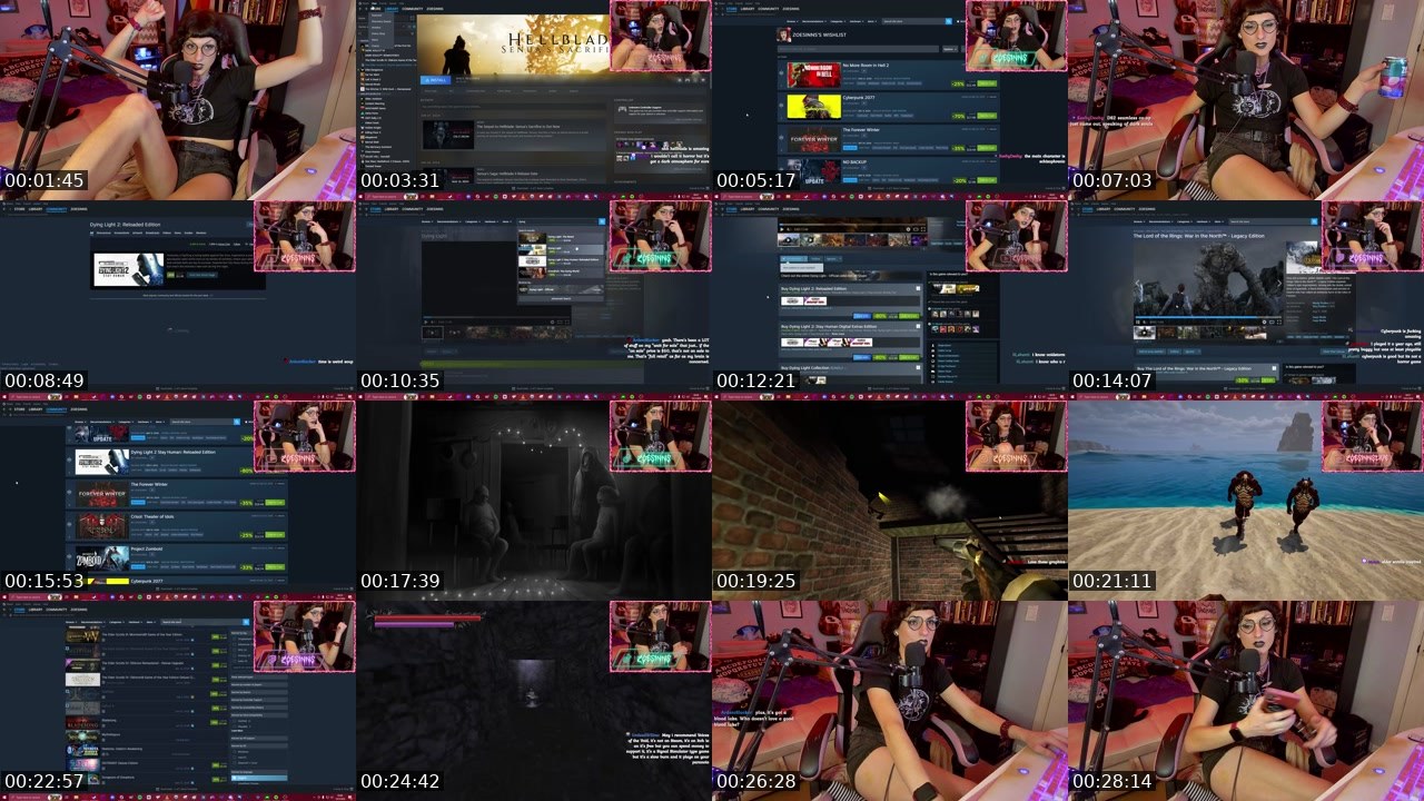 Contact-sheet preview of ZoeSinns's Twitch recording