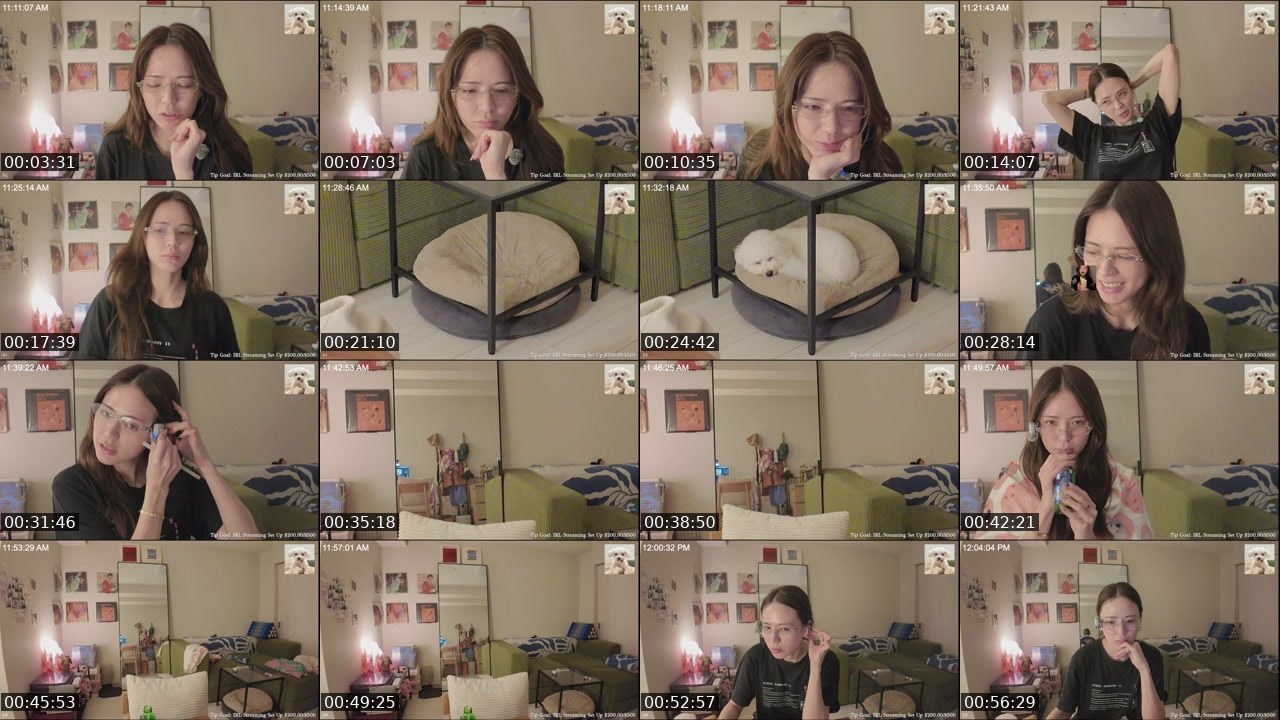 Contact-sheet preview of WithinLUXE's Twitch recording