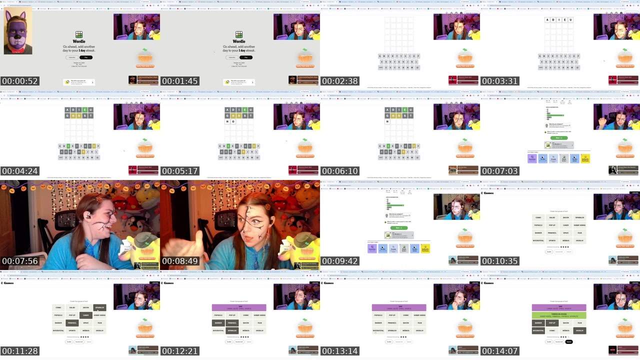 Contact-sheet preview of ilovecapybarasssss's Twitch recording