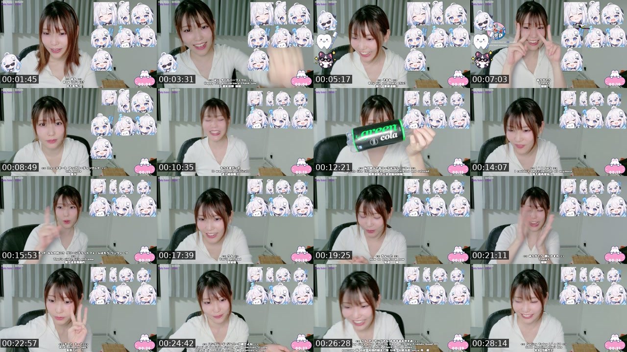 Contact-sheet preview of michaaam's Twitch recording