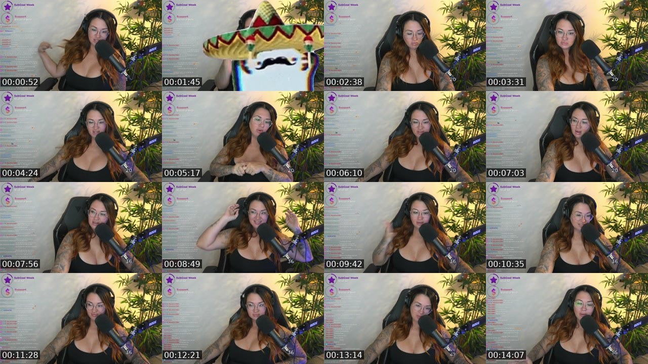 Contact-sheet preview of chloee_fitgamer's Twitch recording